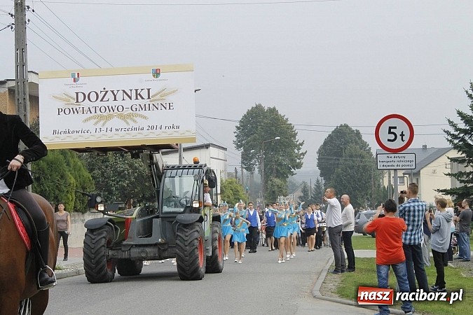 Zdjęcie w galerii na portalu naszraciborz.pl: Korowód jak z Bieńkowic do Raciborza, czyli powiatowe dożynki 2014 wiadomości z regionu