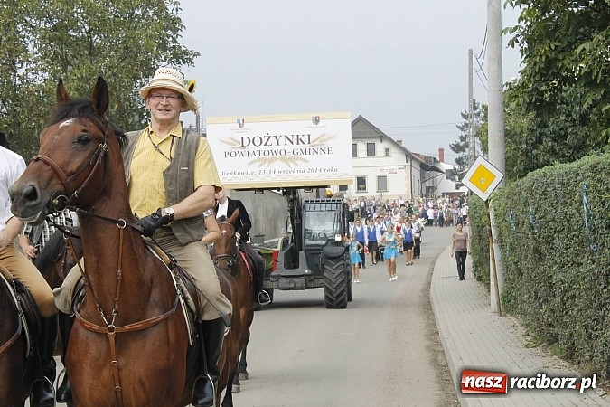 Zdjęcie w galerii na portalu naszraciborz.pl: Korowód jak z Bieńkowic do Raciborza, czyli powiatowe dożynki 2014 wiadomości z regionu