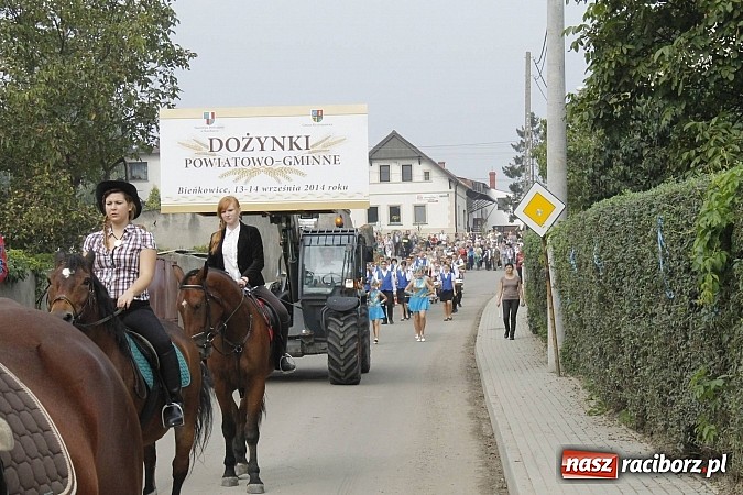 Zdjęcie w galerii na portalu naszraciborz.pl: Korowód jak z Bieńkowic do Raciborza, czyli powiatowe dożynki 2014 wiadomości z regionu