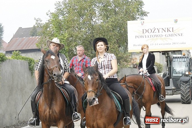 Zdjęcie w galerii na portalu naszraciborz.pl: Korowód jak z Bieńkowic do Raciborza, czyli powiatowe dożynki 2014 wiadomości z regionu