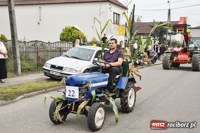 Zdjęcie w galerii na portalu naszraciborz.pl: Słowianki i przyjaciele, czyli dożynki powiatowe w Bieńkowicach na wesoło wiadomości z regionu