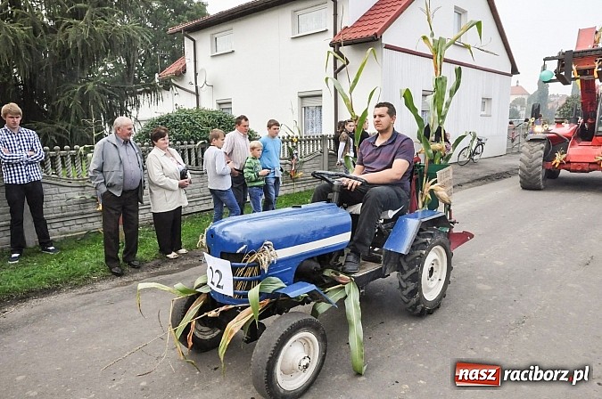 Zdjęcie w galerii na portalu naszraciborz.pl: Słowianki i przyjaciele, czyli dożynki powiatowe w Bieńkowicach na wesoło wiadomości z regionu