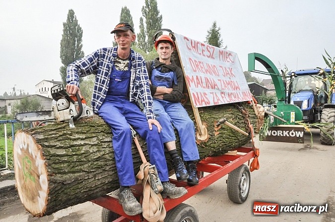 Zdjęcie w galerii na portalu naszraciborz.pl: Słowianki i przyjaciele, czyli dożynki powiatowe w Bieńkowicach na wesoło wiadomości z regionu