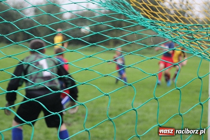 Zdjęcie w galerii na portalu naszraciborz.pl: Wielki piknik rodzinny w Wojnowicach wiadomości z regionu