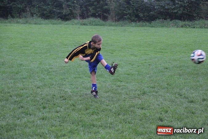 Zdjęcie w galerii na portalu naszraciborz.pl: Wielki piknik rodzinny w Wojnowicach wiadomości z regionu
