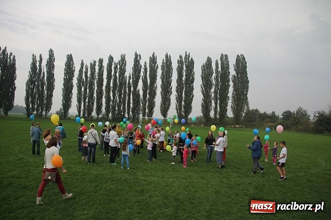 Zdjęcie w galerii na portalu naszraciborz.pl: Wielki piknik rodzinny w Wojnowicach wiadomości z regionu