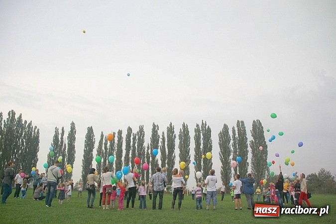 Zdjęcie w galerii na portalu naszraciborz.pl: Wielki piknik rodzinny w Wojnowicach wiadomości z regionu