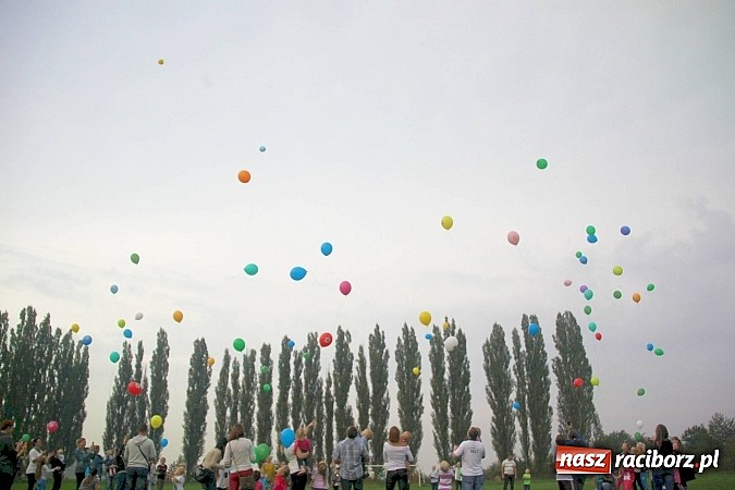 Zdjęcie w galerii na portalu naszraciborz.pl: Wielki piknik rodzinny w Wojnowicach wiadomości z regionu