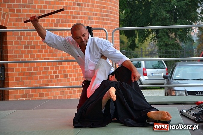 Zdjęcie w galerii na portalu naszraciborz.pl: Organizacje pozarządowe zaprezentowały się na Zamku Piastowskim  wiadomości z regionu