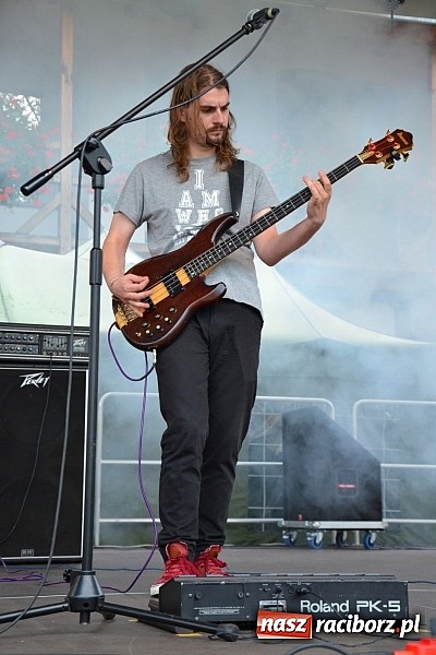 Zdjęcie w galerii na portalu naszraciborz.pl: Organizacje pozarządowe zaprezentowały się na Zamku Piastowskim  wiadomości z regionu