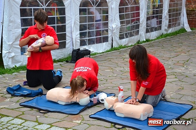 Zdjęcie w galerii na portalu naszraciborz.pl: Organizacje pozarządowe zaprezentowały się na Zamku Piastowskim  wiadomości z regionu