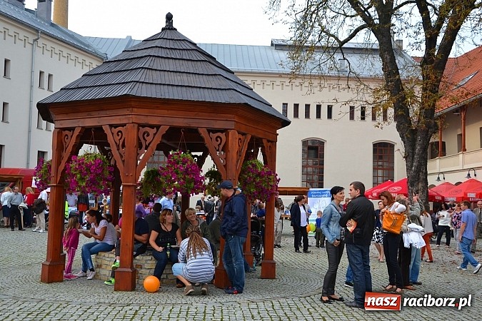 Zdjęcie w galerii na portalu naszraciborz.pl: Organizacje pozarządowe zaprezentowały się na Zamku Piastowskim  wiadomości z regionu