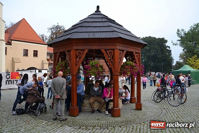 Zdjęcie w galerii na portalu naszraciborz.pl: Organizacje pozarządowe zaprezentowały się na Zamku Piastowskim  wiadomości z regionu