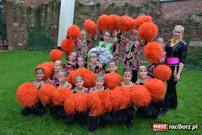 Zdjęcie w galerii na portalu naszraciborz.pl: Organizacje pozarządowe zaprezentowały się na Zamku Piastowskim  wiadomości z regionu