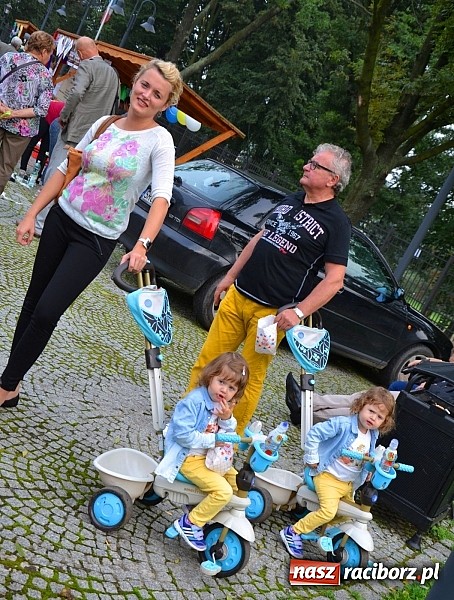 Zdjęcie w galerii na portalu naszraciborz.pl: Organizacje pozarządowe zaprezentowały się na Zamku Piastowskim  wiadomości z regionu