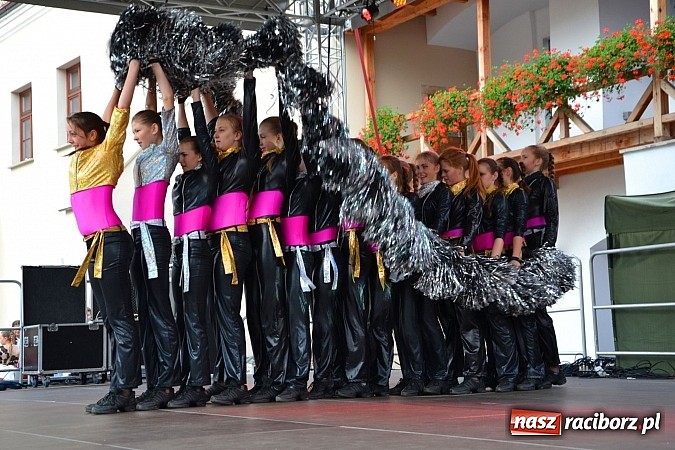 Zdjęcie w galerii na portalu naszraciborz.pl: Organizacje pozarządowe zaprezentowały się na Zamku Piastowskim  wiadomości z regionu
