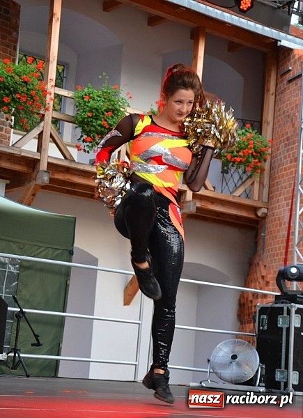 Zdjęcie w galerii na portalu naszraciborz.pl: Organizacje pozarządowe zaprezentowały się na Zamku Piastowskim  wiadomości z regionu