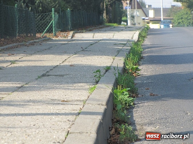 Zdjęcie w galerii na portalu naszraciborz.pl: Nie taki chodnik straszny, jak opisują? wiadomości z regionu