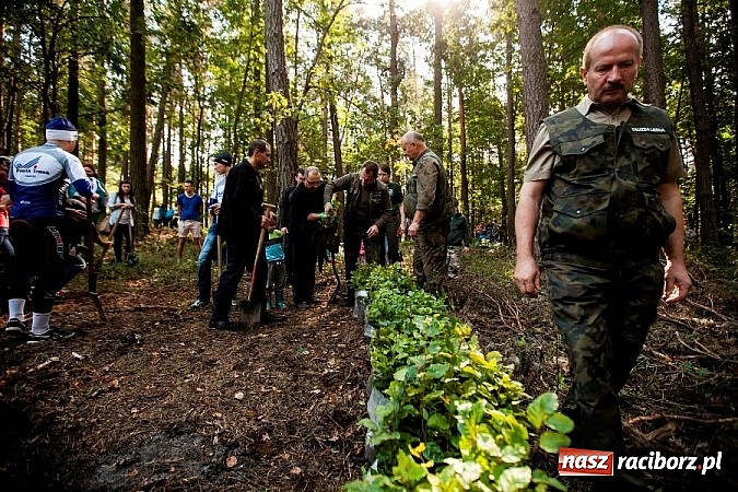 Zdjęcie w galerii na portalu naszraciborz.pl: Nadleśnictwo Siewierz „Po stronie natury” - posadzono ponad 2 tysiące drzew! wiadomości z regionu