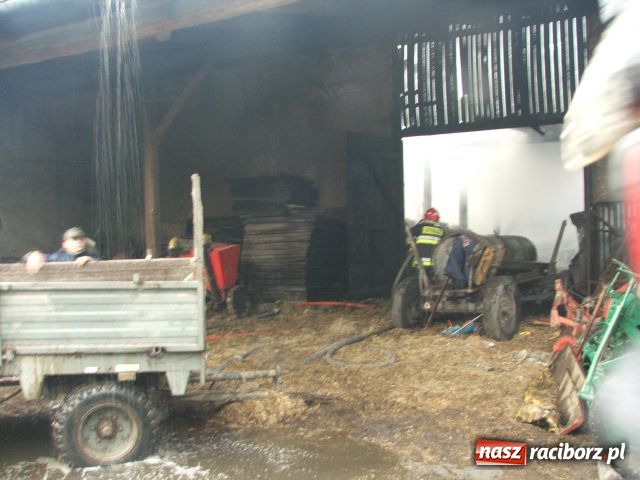Zdjęcie w galerii na portalu naszraciborz.pl: PIORUN uderzył w stodołę wiadomości z regionu