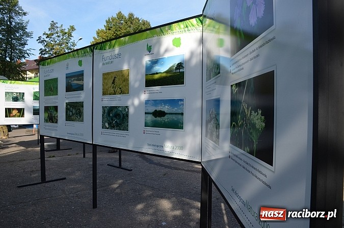 Zdjęcie w galerii na portalu naszraciborz.pl: Ekologiczne Davos w Kołobrzegu  wiadomości z regionu