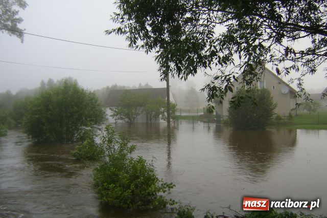 Zdjęcie w galerii na portalu naszraciborz.pl: POWÓDŹ w Nędzy - podtopione domostwa wiadomości z regionu