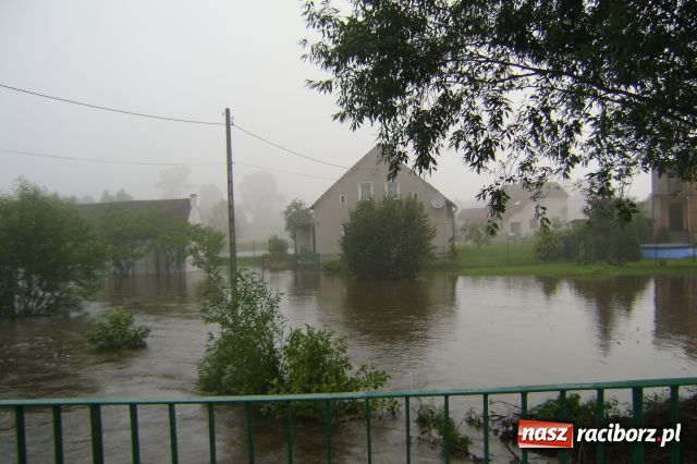 Zdjęcie w galerii na portalu naszraciborz.pl: POWÓDŹ w Nędzy - podtopione domostwa wiadomości z regionu