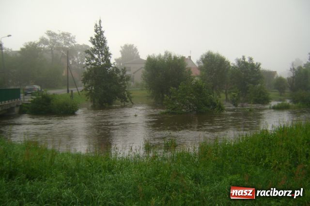 Zdjęcie w galerii na portalu naszraciborz.pl: POWÓDŹ w Nędzy - podtopione domostwa wiadomości z regionu