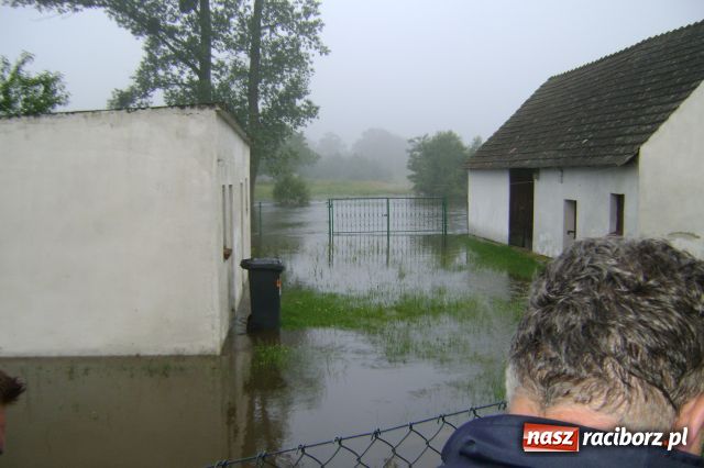 Zdjęcie w galerii na portalu naszraciborz.pl: POWÓDŹ w Nędzy - podtopione domostwa wiadomości z regionu