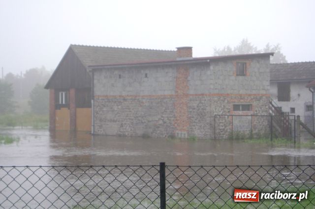 Zdjęcie w galerii na portalu naszraciborz.pl: POWÓDŹ w Nędzy - podtopione domostwa wiadomości z regionu