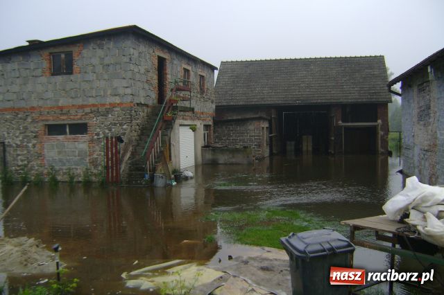 Zdjęcie w galerii na portalu naszraciborz.pl: POWÓDŹ w Nędzy - podtopione domostwa wiadomości z regionu