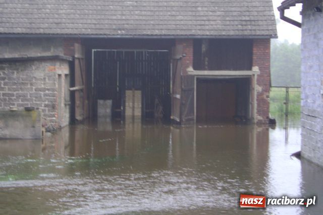 Zdjęcie w galerii na portalu naszraciborz.pl: POWÓDŹ w Nędzy - podtopione domostwa wiadomości z regionu