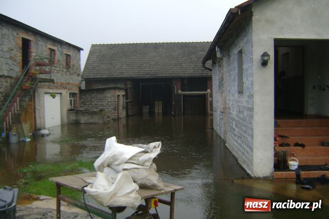 Zdjęcie w galerii na portalu naszraciborz.pl: POWÓDŹ w Nędzy - podtopione domostwa wiadomości z regionu