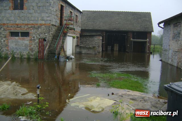 Zdjęcie w galerii na portalu naszraciborz.pl: POWÓDŹ w Nędzy - podtopione domostwa wiadomości z regionu