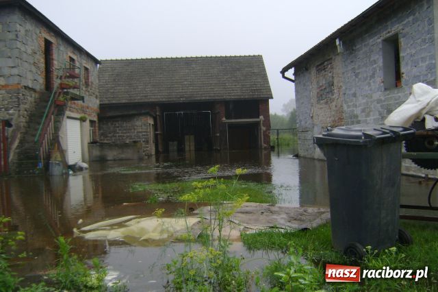 Zdjęcie w galerii na portalu naszraciborz.pl: POWÓDŹ w Nędzy - podtopione domostwa wiadomości z regionu