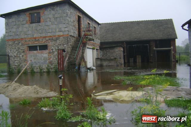 Zdjęcie w galerii na portalu naszraciborz.pl: POWÓDŹ w Nędzy - podtopione domostwa wiadomości z regionu
