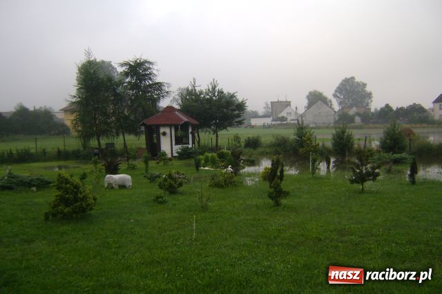 Zdjęcie w galerii na portalu naszraciborz.pl: POWÓDŹ w Nędzy - podtopione domostwa wiadomości z regionu