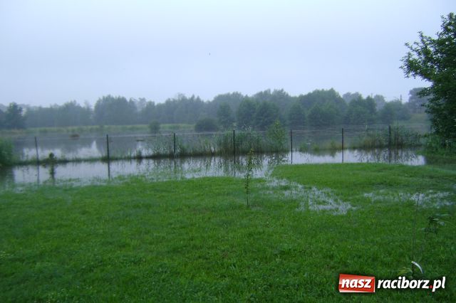 Zdjęcie w galerii na portalu naszraciborz.pl: POWÓDŹ w Nędzy - podtopione domostwa wiadomości z regionu