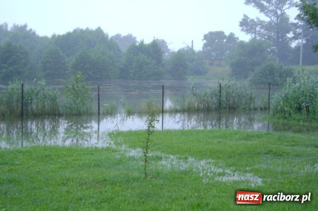Zdjęcie w galerii na portalu naszraciborz.pl: POWÓDŹ w Nędzy - podtopione domostwa wiadomości z regionu