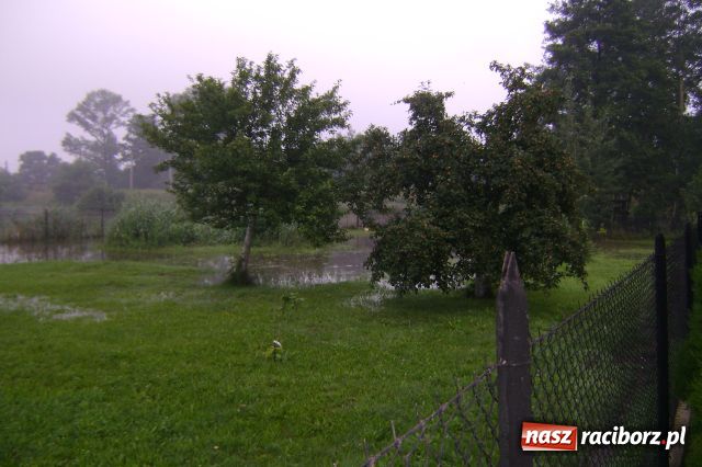 Zdjęcie w galerii na portalu naszraciborz.pl: POWÓDŹ w Nędzy - podtopione domostwa wiadomości z regionu