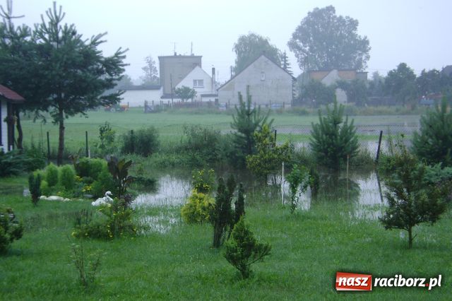 Zdjęcie w galerii na portalu naszraciborz.pl: POWÓDŹ w Nędzy - podtopione domostwa wiadomości z regionu