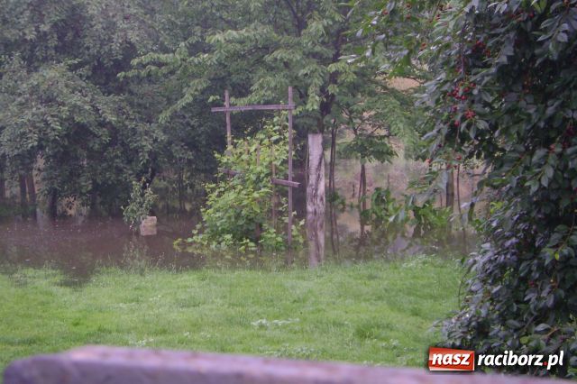 Zdjęcie w galerii na portalu naszraciborz.pl: POWÓDŹ w Nędzy - podtopione domostwa wiadomości z regionu