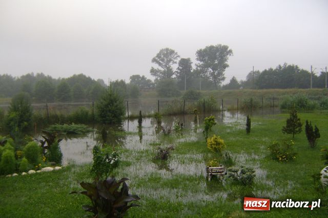Zdjęcie w galerii na portalu naszraciborz.pl: POWÓDŹ w Nędzy - podtopione domostwa wiadomości z regionu