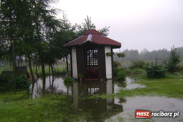 Zdjęcie w galerii na portalu naszraciborz.pl: POWÓDŹ w Nędzy - podtopione domostwa wiadomości z regionu