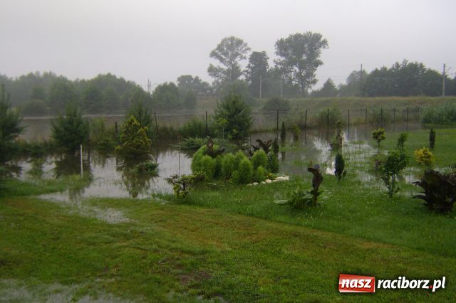 Zdjęcie w galerii na portalu naszraciborz.pl: POWÓDŹ w Nędzy - podtopione domostwa wiadomości z regionu