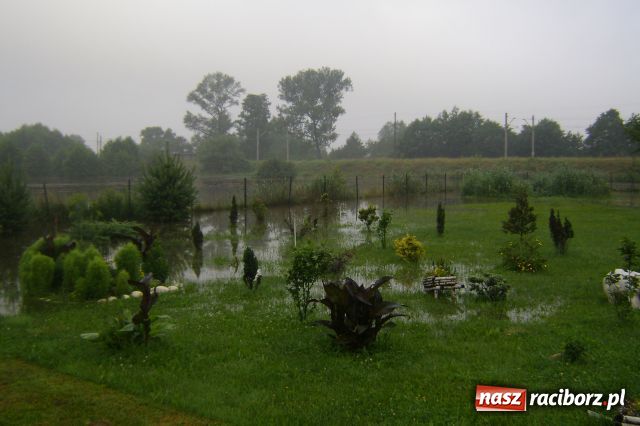 Zdjęcie w galerii na portalu naszraciborz.pl: POWÓDŹ w Nędzy - podtopione domostwa wiadomości z regionu