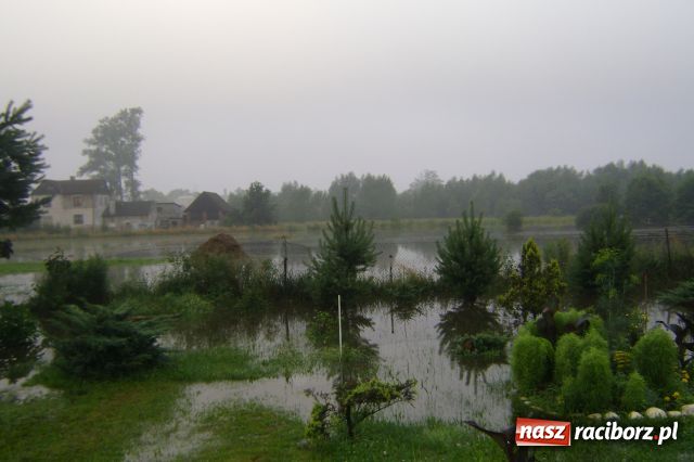 Zdjęcie w galerii na portalu naszraciborz.pl: POWÓDŹ w Nędzy - podtopione domostwa wiadomości z regionu