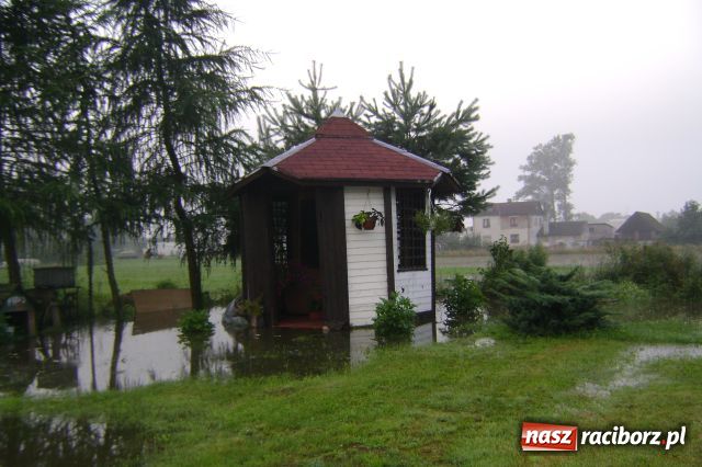 Zdjęcie w galerii na portalu naszraciborz.pl: POWÓDŹ w Nędzy - podtopione domostwa wiadomości z regionu