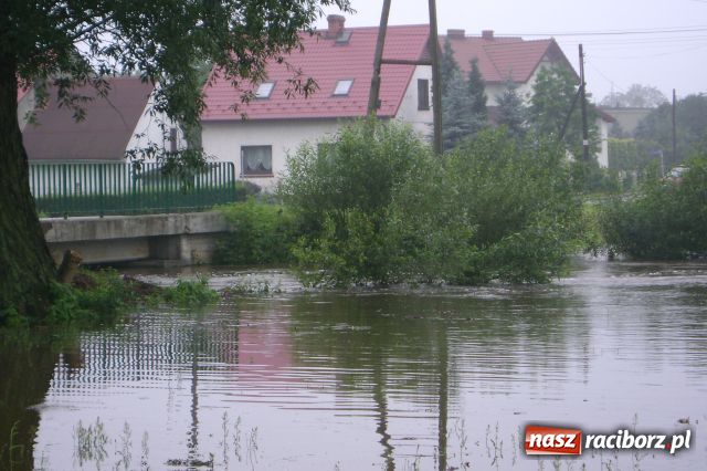 Zdjęcie w galerii na portalu naszraciborz.pl: POWÓDŹ w Nędzy - podtopione domostwa wiadomości z regionu