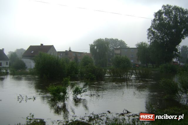 Zdjęcie w galerii na portalu naszraciborz.pl: POWÓDŹ w Nędzy - podtopione domostwa wiadomości z regionu